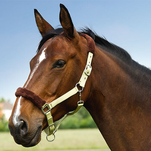 Equi thème comfort halter - equi-thème,