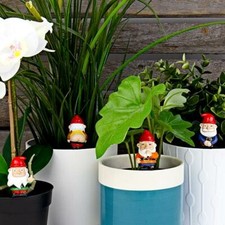 Mini Plant Pot Naughty Gnomes Set of Four Novelty Planter Garden Decoration 4pcs