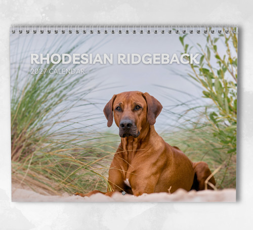 Rhodesian ridgeback calendar - rhodesian,