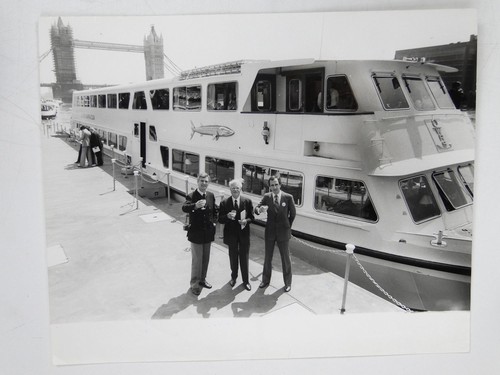 Silver barracuda pleasure - barracuda,