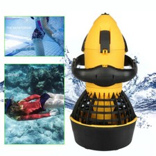 500W Electric Underwater