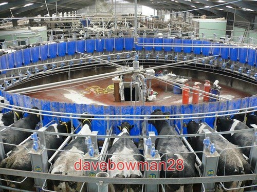 Photo rotary parlour at - rotary,