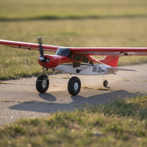 Channel plane aerobatic - 4,