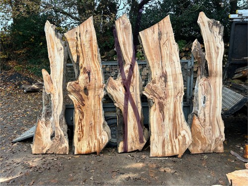 Varied yew planks - varied,