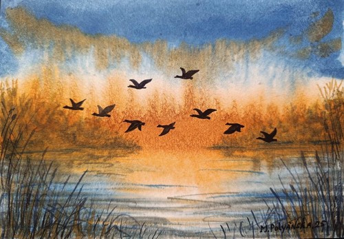 Ducks fly sky - sky, original