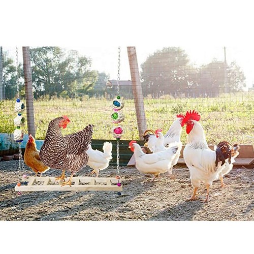 Chicken ladder swing wooden - chicken,