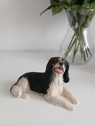 Vintage castagna king charles - castagna,