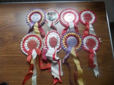 RUGBY UNION MEMORABILIA SUPERB RARE COLLECTORS LOT PROGRAMMES SCARFS PLAQUES ETC