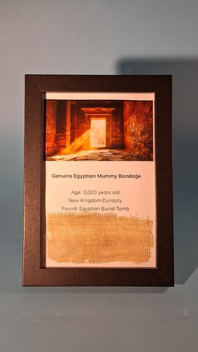 Genuine egyptian mummy bandage - egyptian,