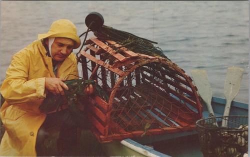 Ale cape cod - mr, fisherman