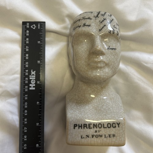 Ceramic phrenology head - head,