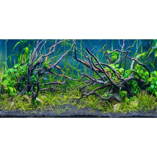 Awert 36x24 inches - awert,