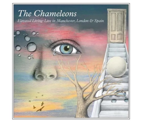 The chameleons elevated - -,
