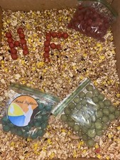 Ground Feeder Bait
