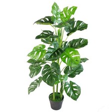 Artificial Cheese Plant