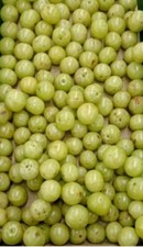 Fresh  Amla Gooseberry 1 KG