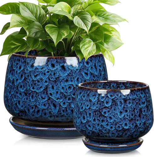 17cm 12cm blue ceramic plant - ceramic,