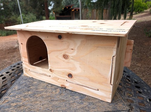 Pigeon chicken nesting - box,
