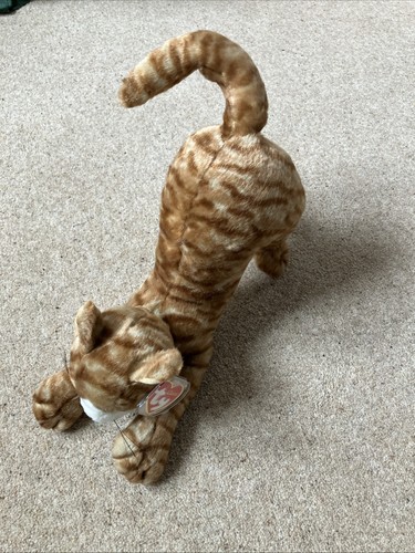 Classic stretch tabby cat - ty,