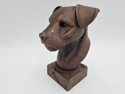 Border terrier bust - border,
