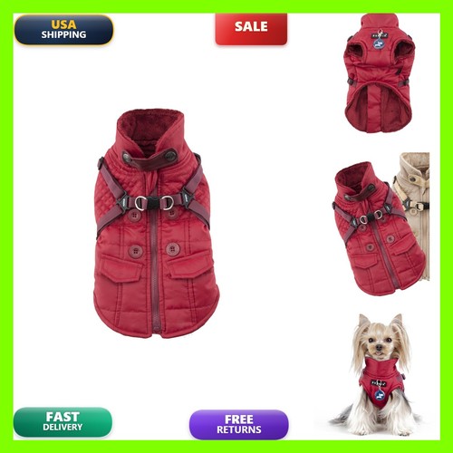 Puppia wilkes winter - winter, dog