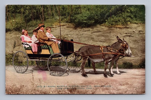 Antique new york postcard - antique,