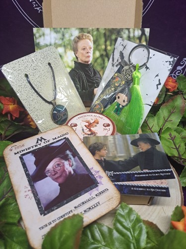 Professor mcgonagall character - mcgonagall,