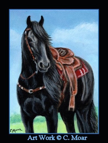 Black horse western tack - black,