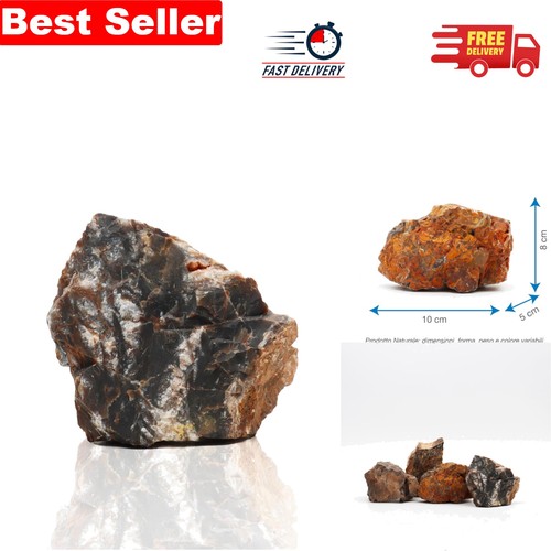 Unique petrified rock - unique,