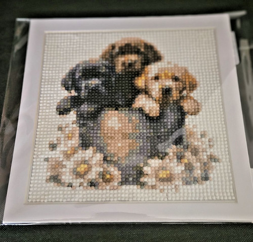 Three labrador puppies diamond - labrador,