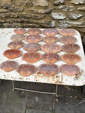 Joblot Of Real Crab Shells