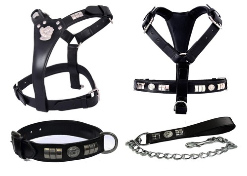 Staffy leather dog harness - staffy,