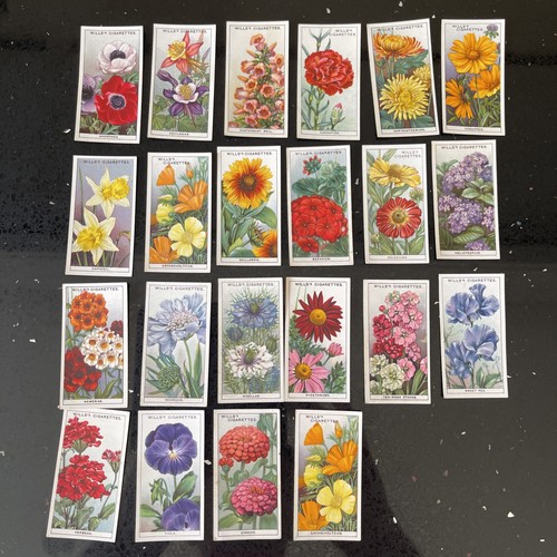 Vintage wills cigarette cards - vintage,
