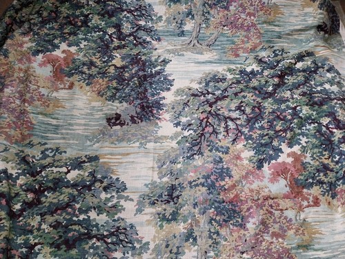 Sanderson ancient canopy - ,