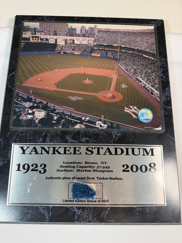Yankee stadium authentic - yankee,