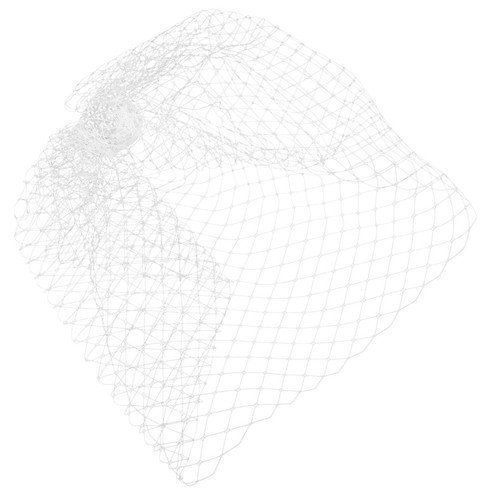 Birdcage veil wedding - veil, bride