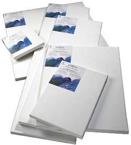 Winsor newton artist - winsor,