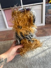 vintage Fluffy Terrier Dog