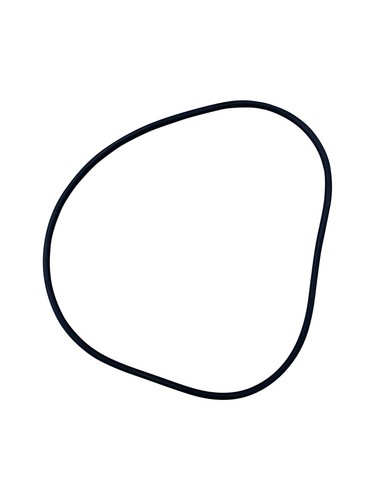 Replacement seal ring - replacement,