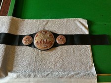 WWE Kids Wrestling Tag Team Champions Belt 2014 Missing fitting At One End 