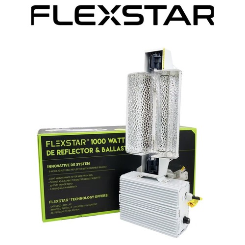 Flexstar 1000w double - 1000w, ended