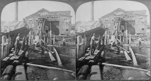Timber workers using pike - timber,