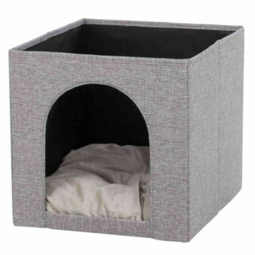Trixie ella cave kitten cat - ella,
