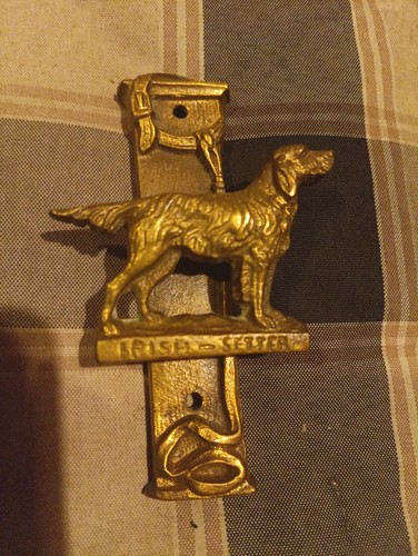 Brass irish setter - setter, dog