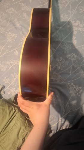Falcon string dreadnought - falcon,