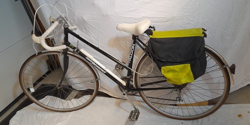 Falcon womens classic road