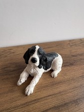 Black & White Springer Spaniel