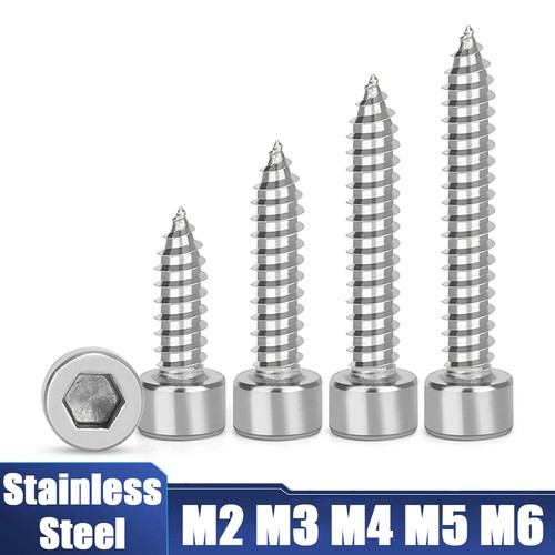 Socket cap self tapping screws - cap,