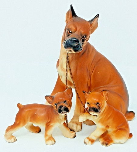 Erich stauffer 8271 boxer dog - boxer,