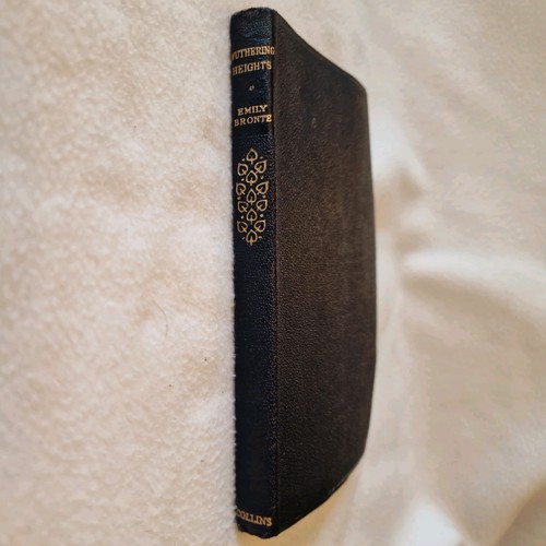 Emily bronte wuthering heights - emily,
